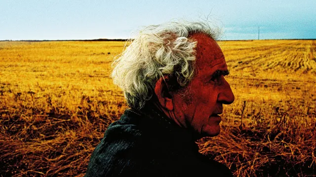 Creatives: Make Movies!